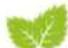 Hecht GG 2500 - HECHT 5041 S - 2