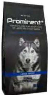 Hecht GG 2500 - Prominent dog Senior - 2
