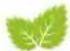 Hecht GG 2500 - MOBILE APP - 4
