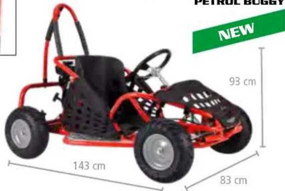 Hecht GG 2500 - ACCU AND PETROL BUGGYS - 2