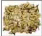 Hecht GG 2500 - Silent CYLINDER SHREDDER - 1