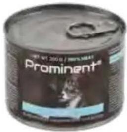 Hecht GG 2500 - Prominent cat Kitten - 2