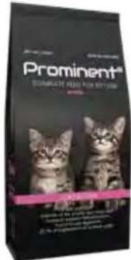 Hecht GG 2500 - Prominent cat Kitten - 4