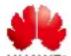 HUAWEI SUN2000MA-3KTL-M1 - Trademarks and Permissions - 1