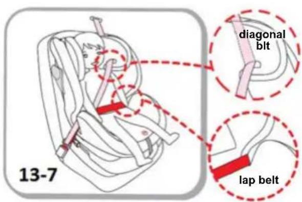13-7 diagonal blt lap belt