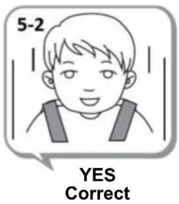 5-2 YES Correct