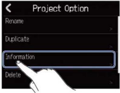 Project Option Rename Duplicate Information Delete