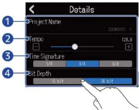Details Project Name ZOOM0005 > Tempo 120.0 + Time Signature 3/4 1/4 6/8 Bit Depth 18 bit 24 bit
