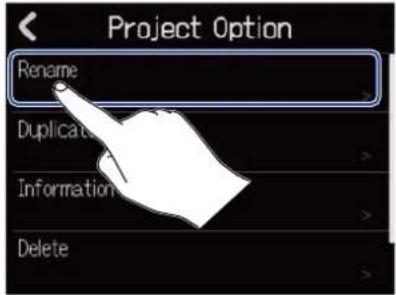Project Option Rename Duplicate Information Delete