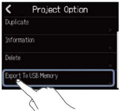 Project Option Duplicate Information Delete Export To USB Memory