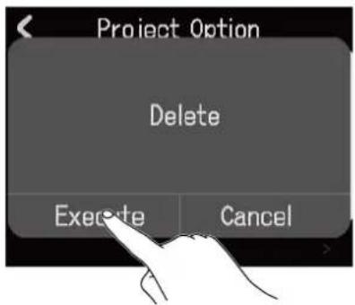 Project Option Delete Execute Cancel