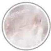 Livarno Lux HG08762 - Karta Scéna : - 5
