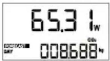 65.3 Iw CO2 10000000 DAY 008688 kg