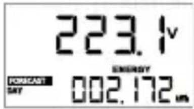 223.1v FORECAST DAY ENERGY 002.172.m