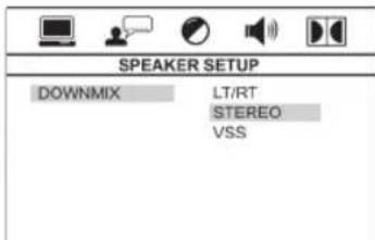 SPEAKER SETUP DOWNMIX LT/RT STEREO VSS
