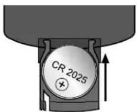 CR 2025