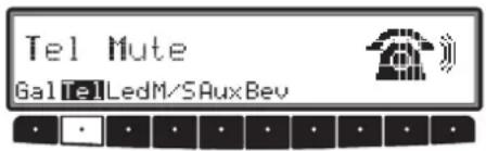 Tel Mute GalTelLedM/SAuxBev