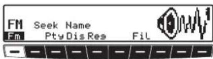 FM Seek Name Fm Pty Dis Res Fil