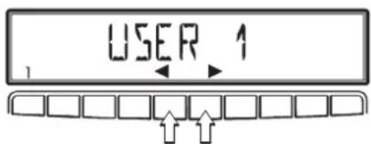 USER 1