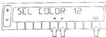 SEL COLOR 12 AS
