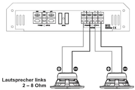 ESX SE 2100 - Die LINE OUT-Cinchausgänge liefern ein lineares Vollbereichs-Audiosignal für die Ansteuerung weiterer Verstärker. - 1