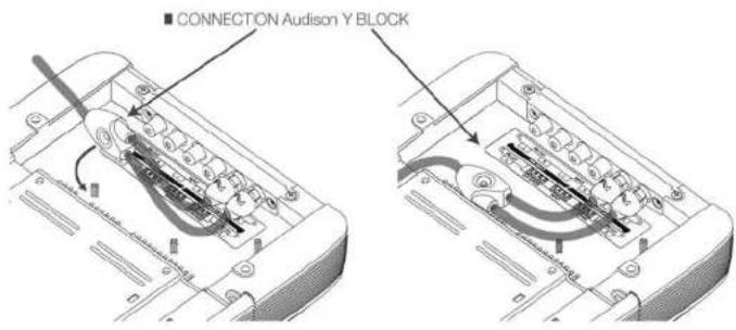 CONNECTION AUDISON Y BLOCK