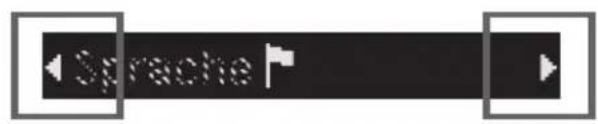MIELE PG 8083 SCVI XXL - Funktionsweise des Displays - 1