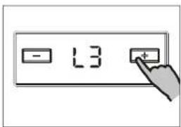 - L3 +