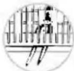 BOMANN GSPE 648 - Gebrauch des unteren Geschirrkorbes - 5