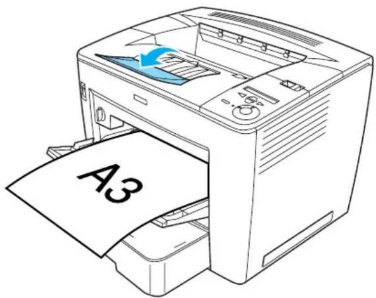 EPSON EPL-N7000 - Papierausgabefach - 1