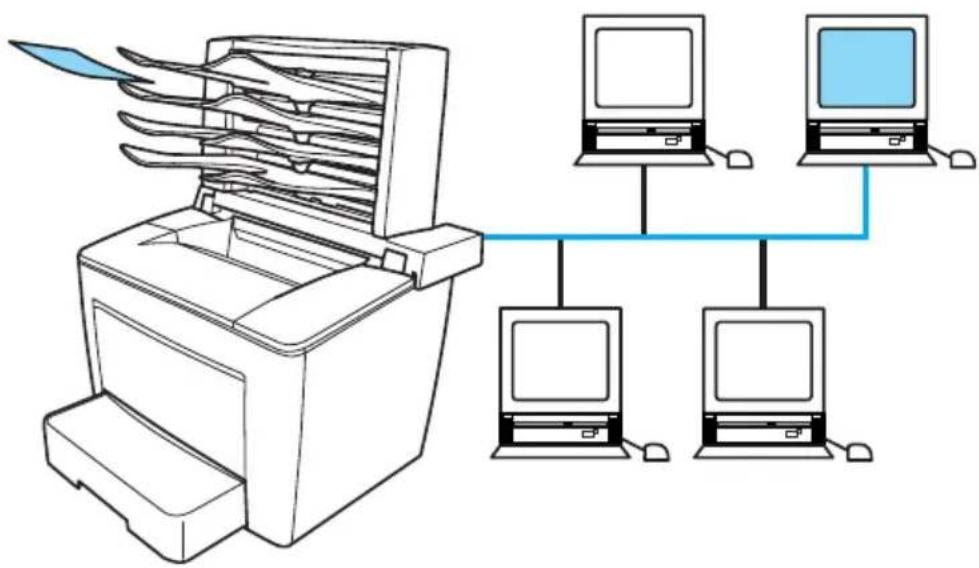 EPSON EPL-N7000 - 4-fach Mailbox - 1