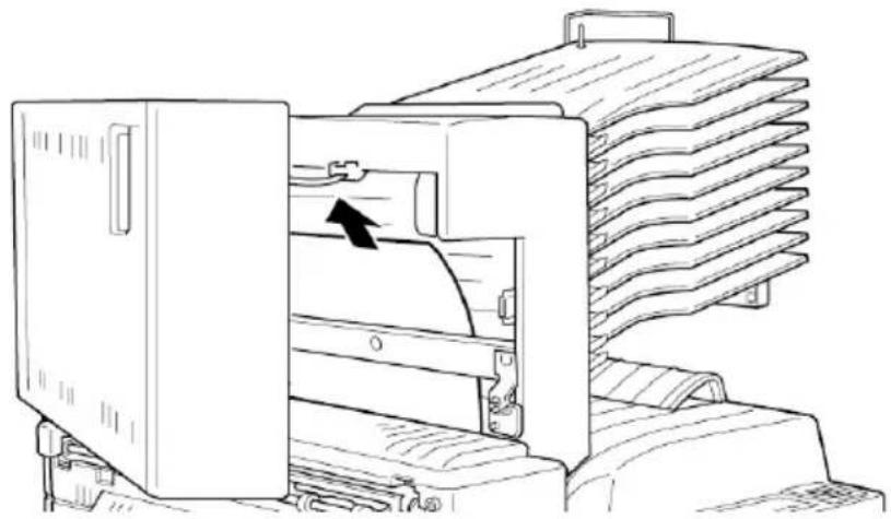 EPSON EPL-N4000 - Stau D (D ist Teil einer Option) - 1
