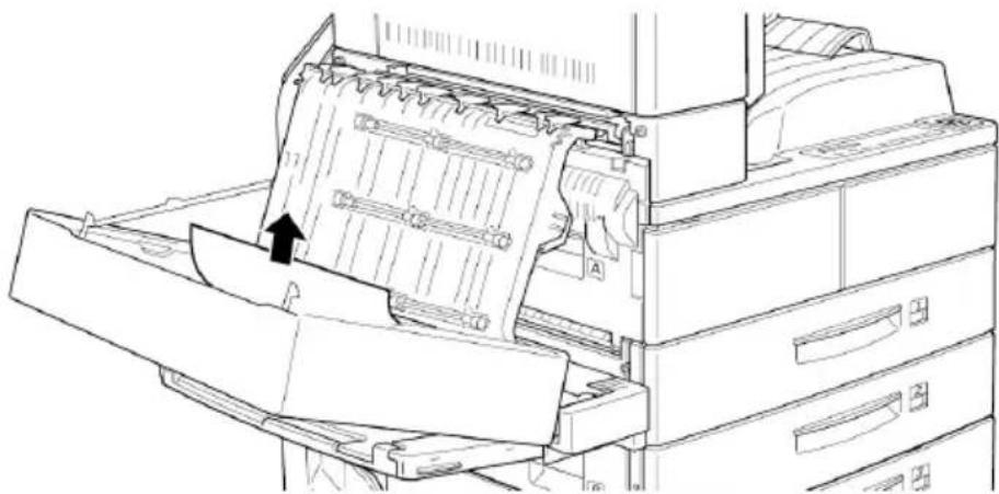 EPSON EPL-N4000 - Stau DM (DM ist Teil einer Option) - 2