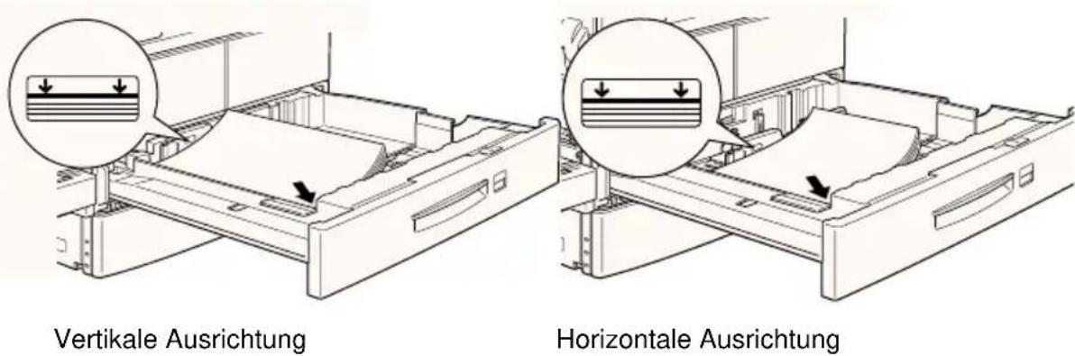 EPSON EPL-N4000 - Standardpapierkassette 2 - 1