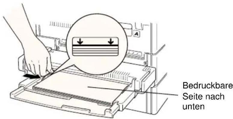 EPSON EPL-N4000 - Achtung: - 2