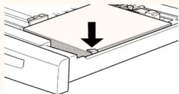 EPSON EPL-C8200 - Medien in die Standardkassette einlegen - 4