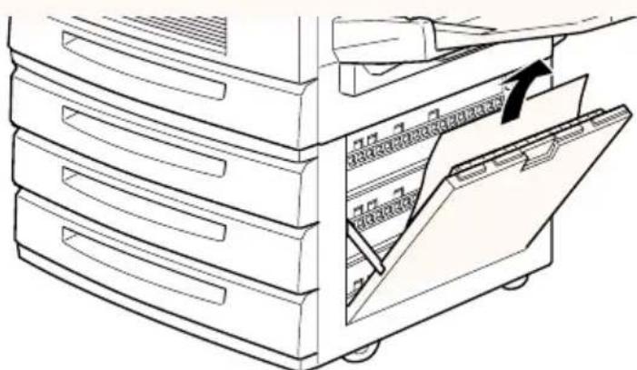 EPSON EPL-C8200 - Papierstau im optionalen Large-Capacity-Papiermagazin beseitigen - 2