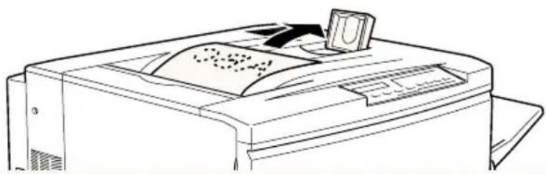 EPSON EPL-C8200 - Face-down-Papierablage - 1