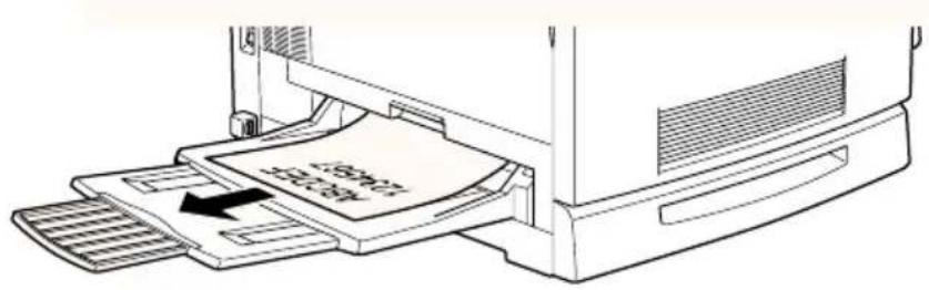 EPSON EPL-C8200 - Face-up-Papierablage - 1