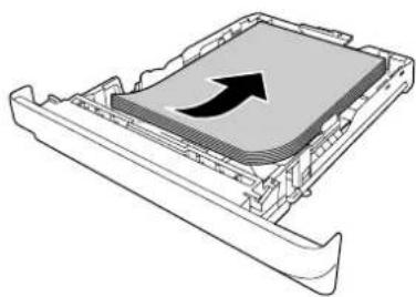 EPSON AcuLaser M2410 - Unteres Zusatzpapiermagazin - 5