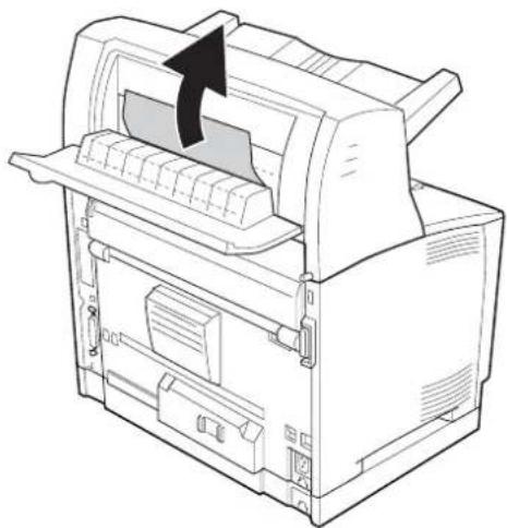 EPSON AcuLaser M8000 - Papierstau DM (Abdeckung der Duplexeinheit) - 5