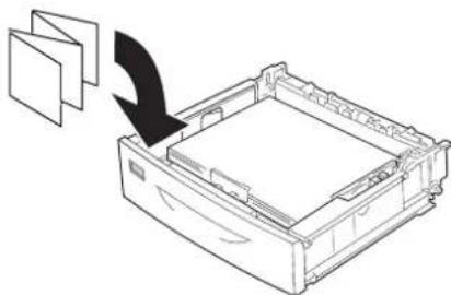 EPSON AcuLaser M8000 - Standardpapierkassette - 9