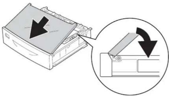 EPSON AcuLaser M8000 - Standardpapierkassette - 10