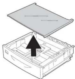 EPSON AcuLaser M8000 - Standardpapierkassette - 2