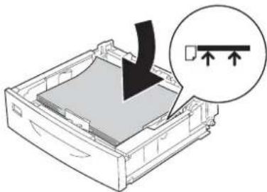 EPSON AcuLaser M8000 - Standardpapierkassette - 8