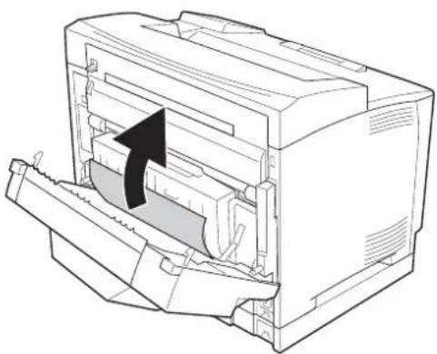 EPSON AcuLaser M8000 - Papierstau DM (Abdeckung der Duplexeinheit) - 2