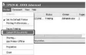 EPSON AcuLaser M2010 - Windows: - 2