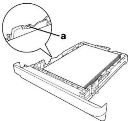 EPSON AcuLaser M2010 - Standardpapierkassette - 4