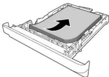 EPSON AcuLaser M2010 - Standardpapierkassette - 3