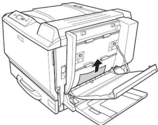 EPSON AcuLaser C9200 - Papierstau D (Abdeckung der Duplexeinheit) - 3